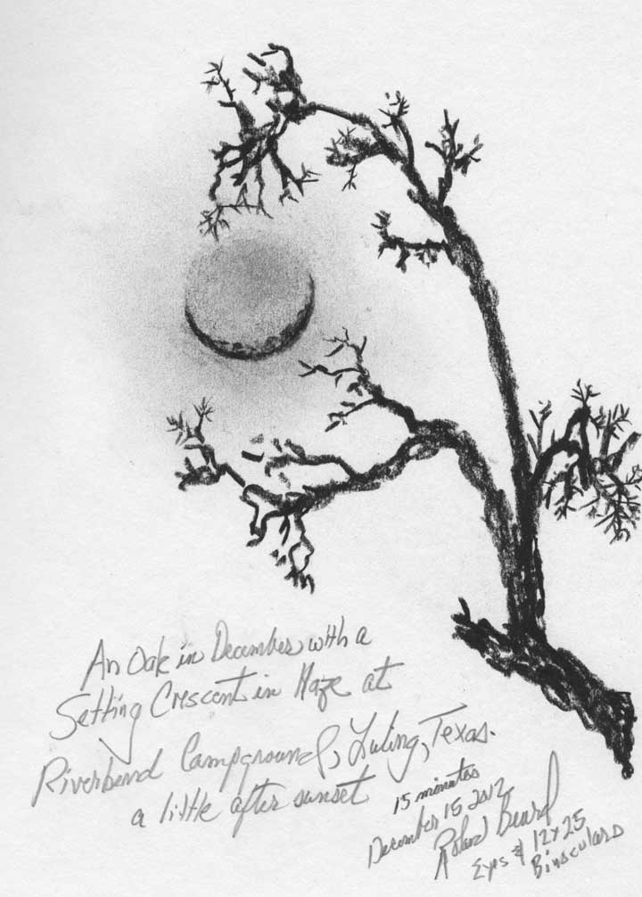 20121215-crescent-with-oak