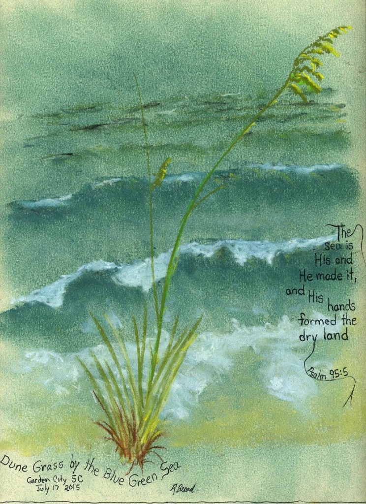 20150717-dune-grass-by-sea