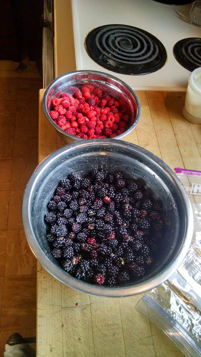 20150701-fruit-picked