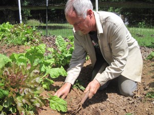 Weeding-and-Purity