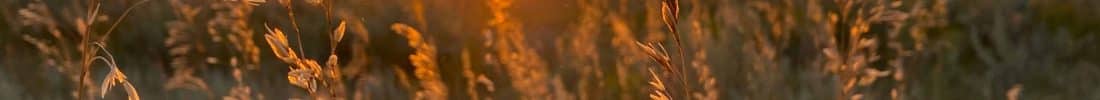 Christworks Ministries