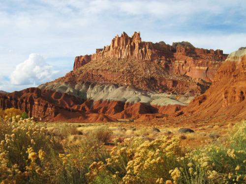 Sedimentary Rock
