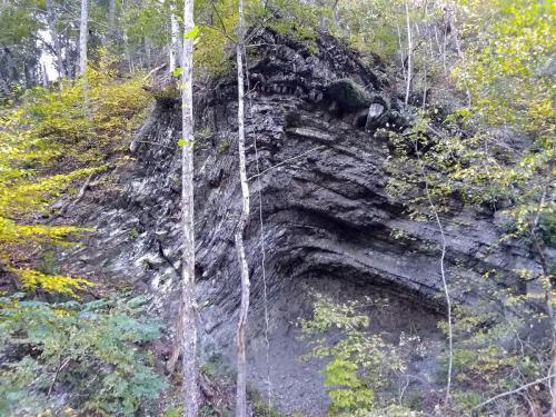 Sedimentary-Rock-Sharp-Bend-VA